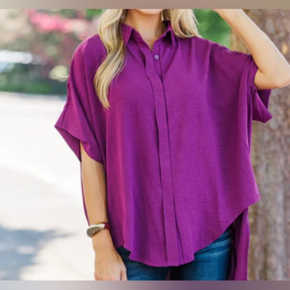 Button Down Blouse - image 1